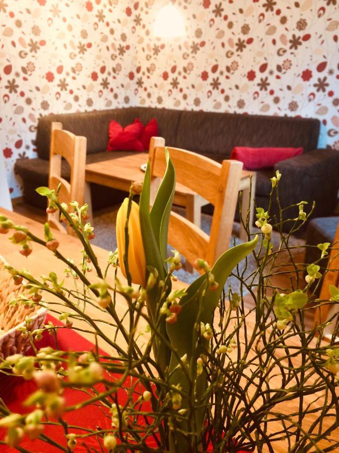 Haus Am Gruendel Appartement Altenberg Buitenkant foto